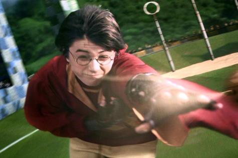 Harry Potter attempts to grab "the golden snitch" for the victory. Credit: Harry Potter Wiki