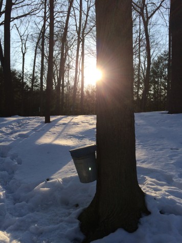 New England Tradition on Hold Due to Weather
