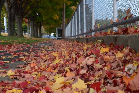 Ode to Fall
