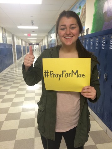 Spotlight On: Maeghan Desmarais