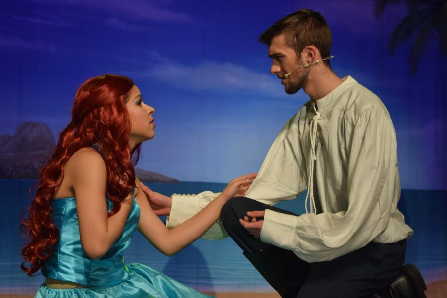 19th Annual HHS Musical Proves To Be Another Success