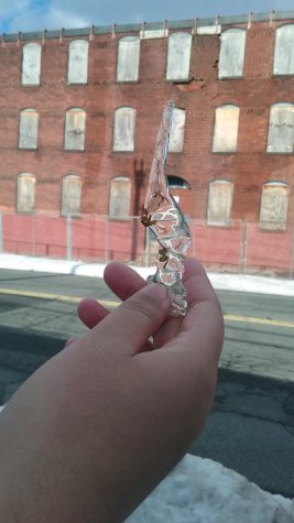 Fun Places to go in Holyoke: The Winter Edition