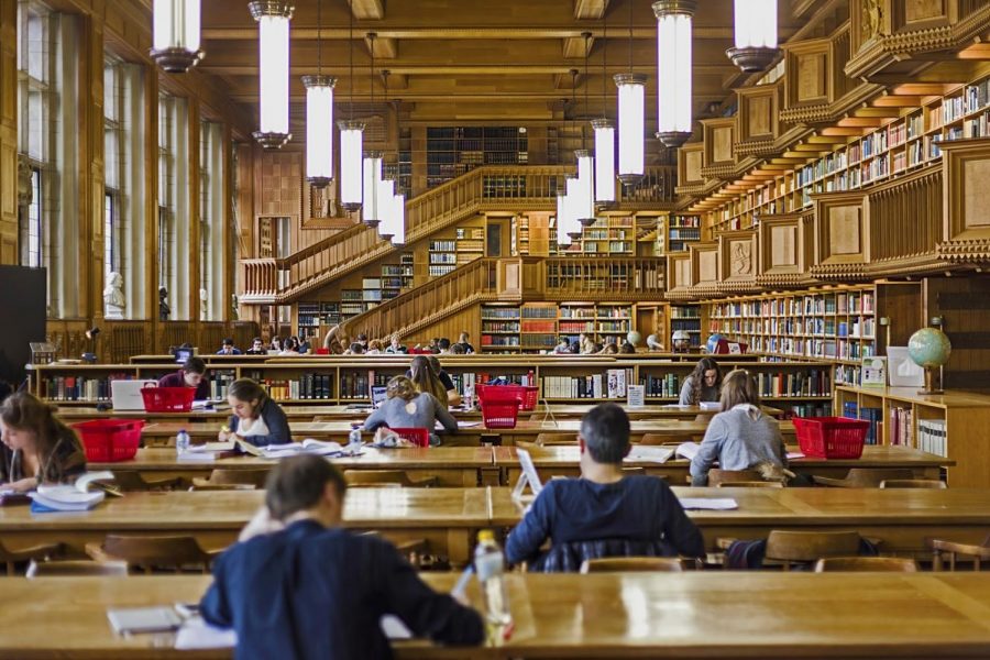 Will Libraries Go Extinct?