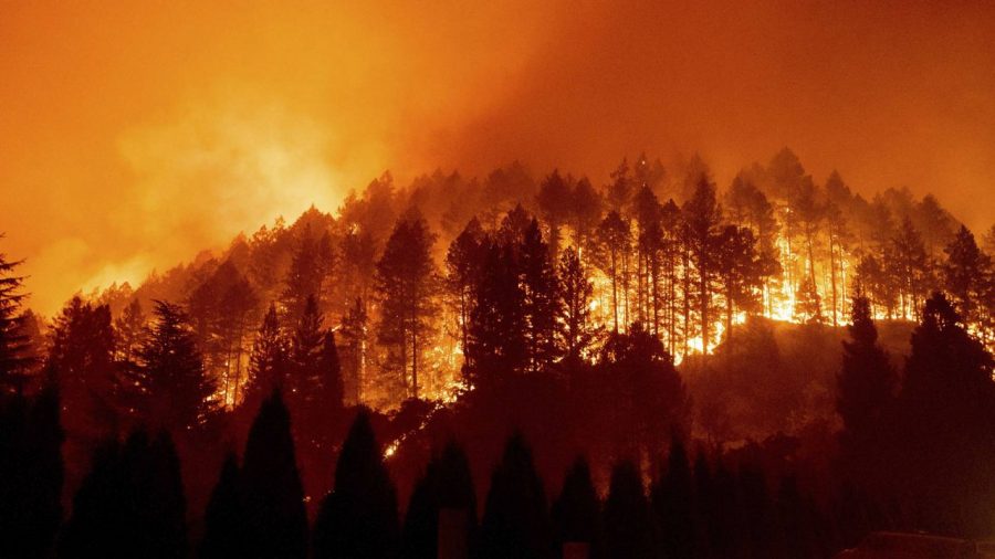 Catastrophic California Wildfires